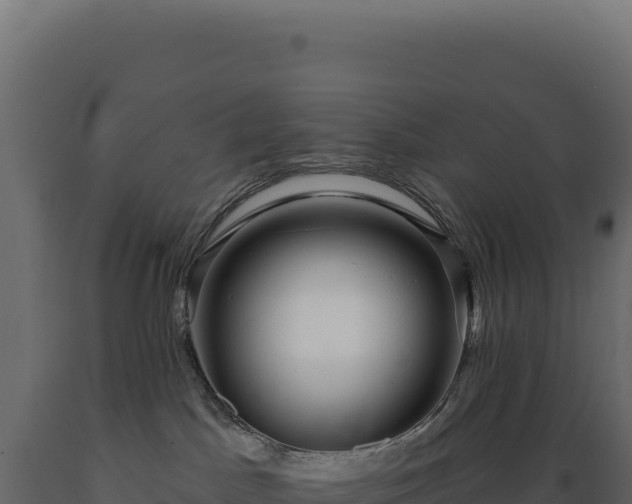 X0000089960045200707061149