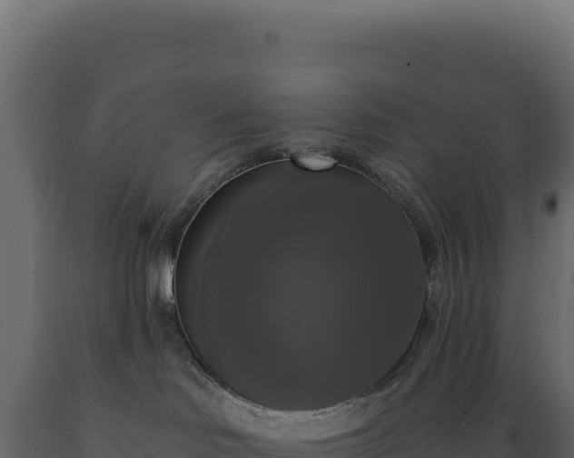 X0000089960046200707061149