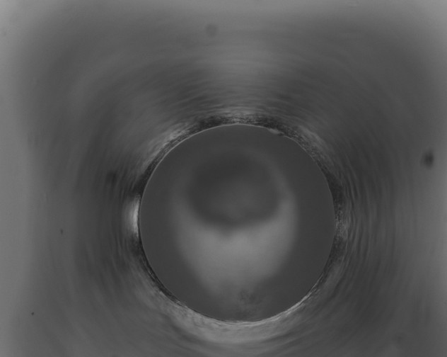 X0000089960047200707061149