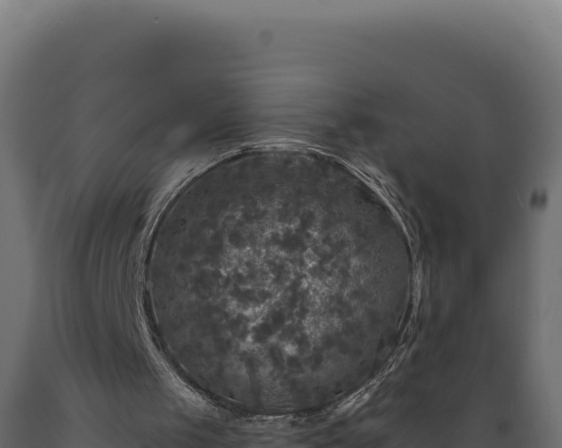 X0000089960049200707061148
