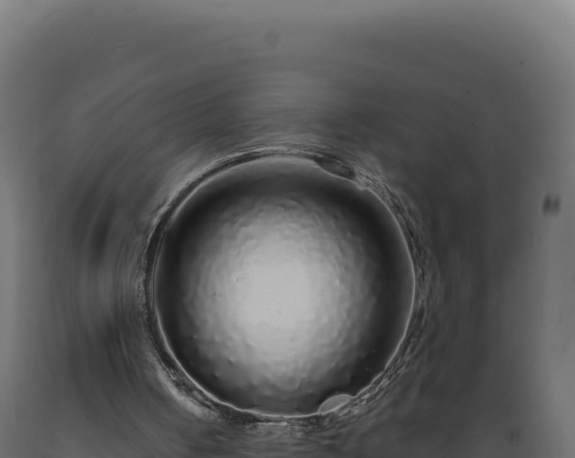 X0000089960050200707061148