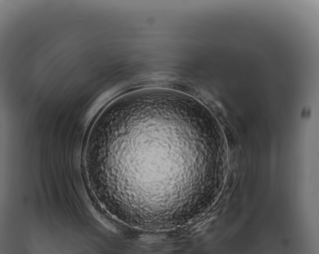 X0000089960051200707061148