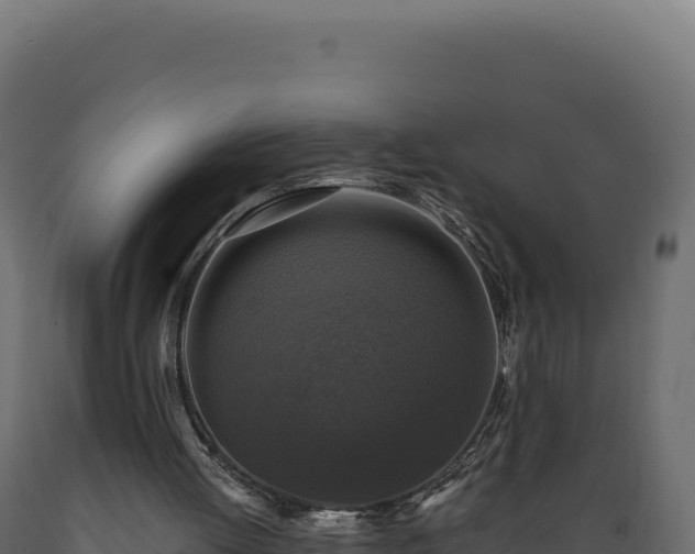 X0000089960052200707061148