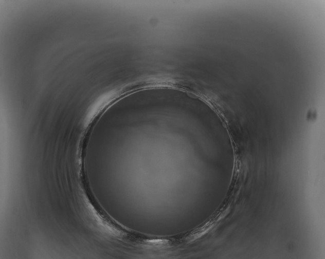 X0000089960053200707061148