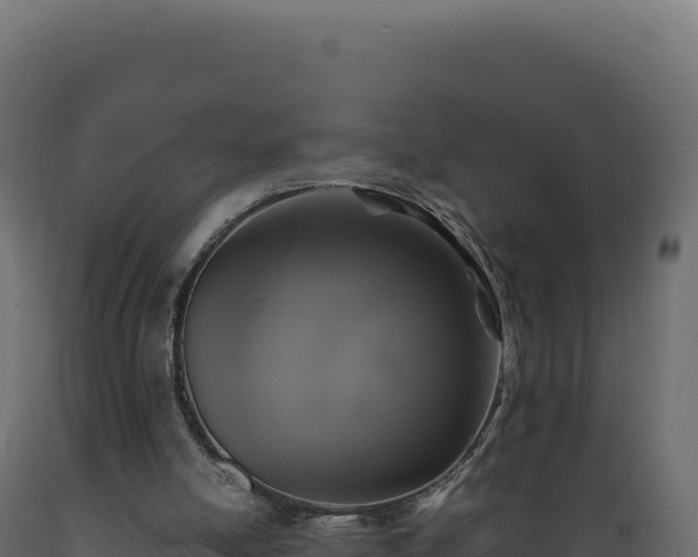 X0000089960054200707061148