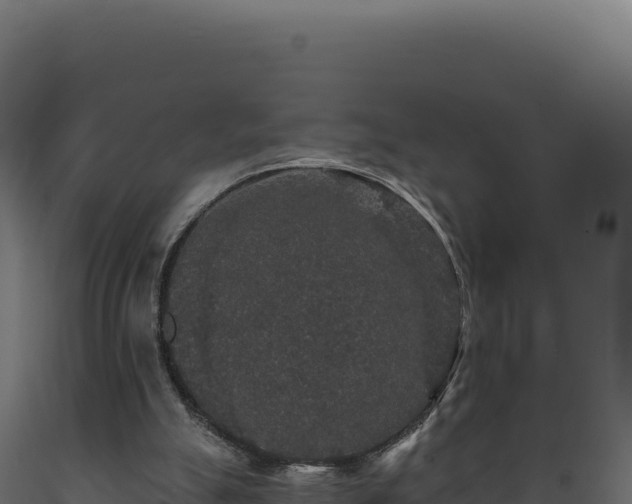 X0000089960055200707061148