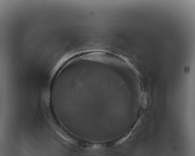 X0000089960056200707061148
