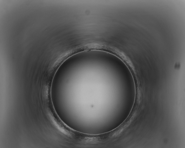 X0000089960057200707061148