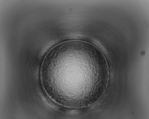 X0000089960058200707061148