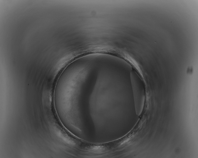 X0000089960059200707061148