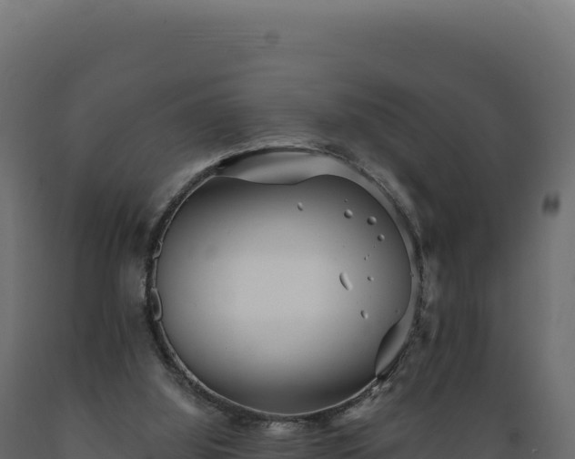X0000089960060200707061148