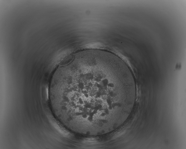 X0000089960061200707061148