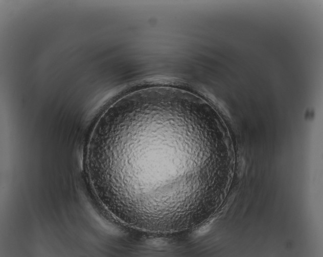 X0000089960062200707061148