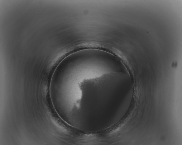 X0000089960063200707061148