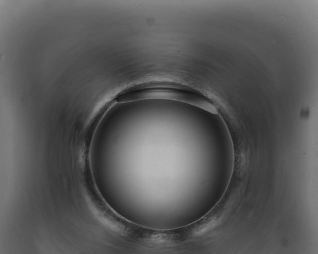 X0000089960064200707061148