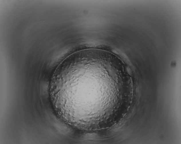 X0000089960066200707061148