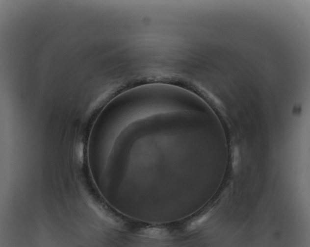 X0000089960067200707061148