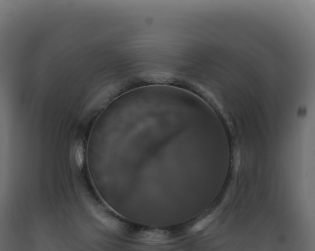 X0000089960069200707061148