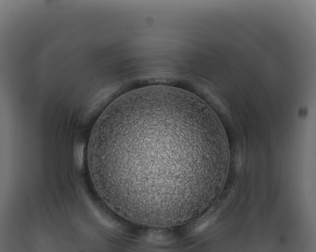 X0000089960070200707061148