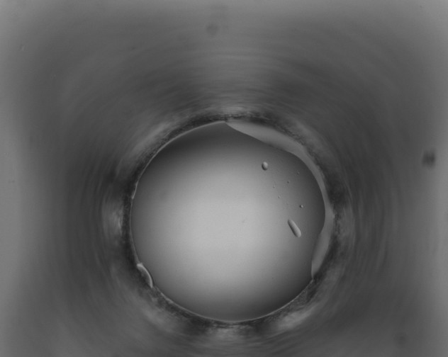 X0000089960072200707061148