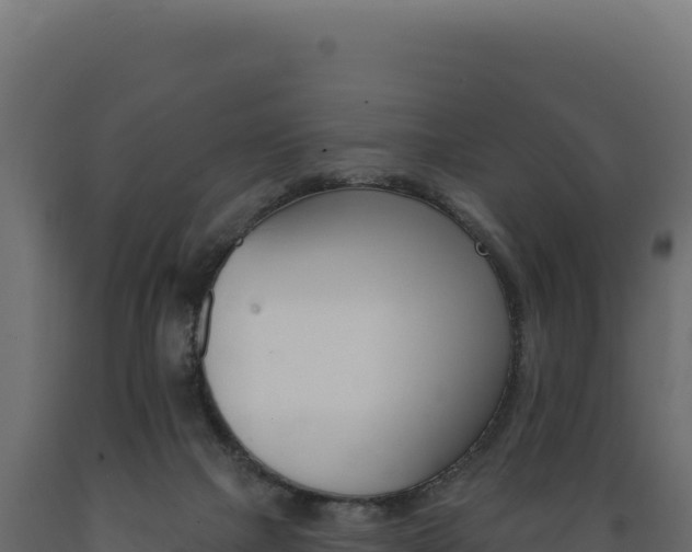 X0000089960073200707061148