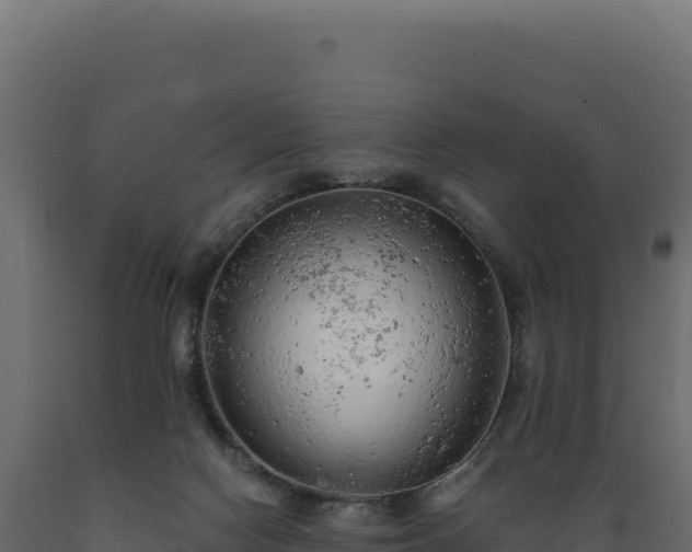 X0000089960074200707061148