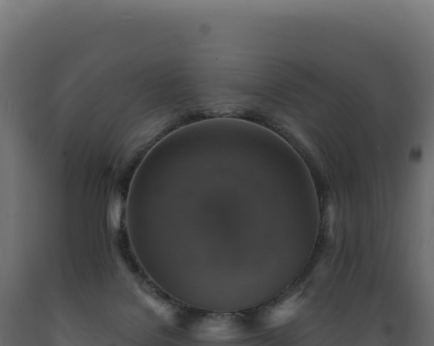 X0000089960076200707061148
