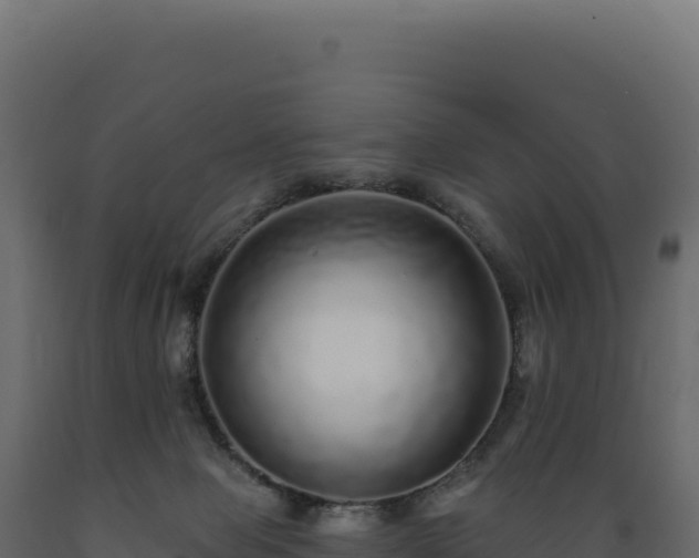 X0000089960077200707061148