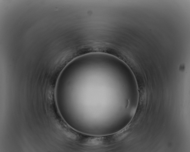 X0000089960078200707061148