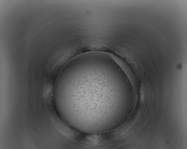 X0000089960079200707061148