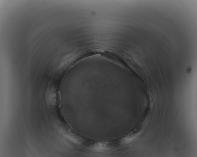 X0000089960080200707061148