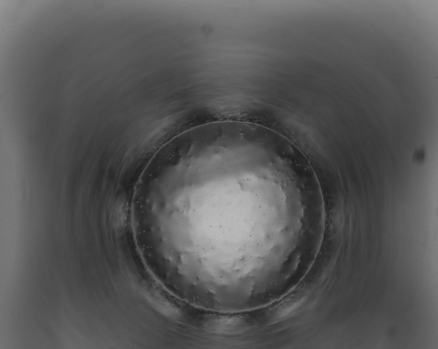 X0000089960081200707061148