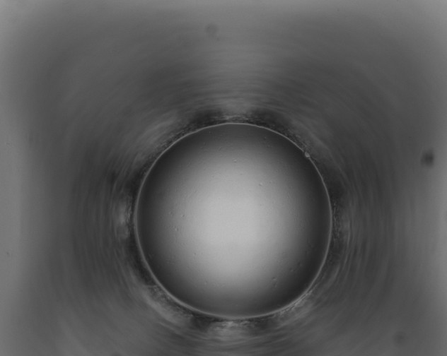 X0000089960082200707061148