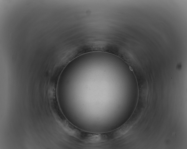 X0000089960083200707061148