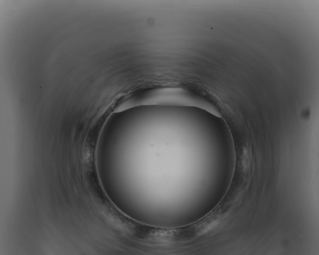 X0000089960084200707061148