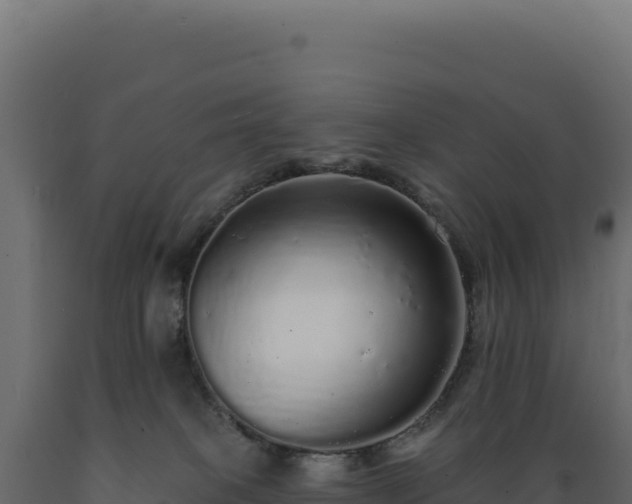 X0000089960085200707061148