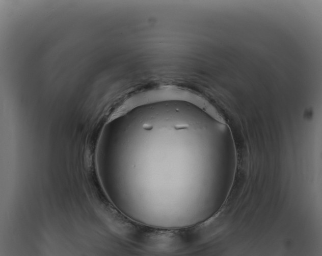 X0000089960086200707061148