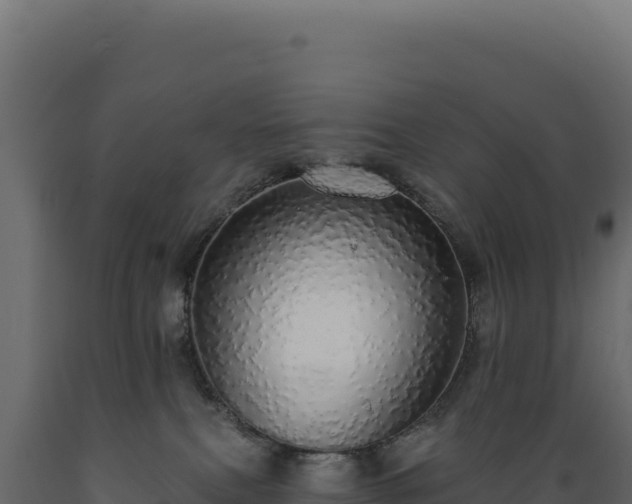 X0000089960087200707061148