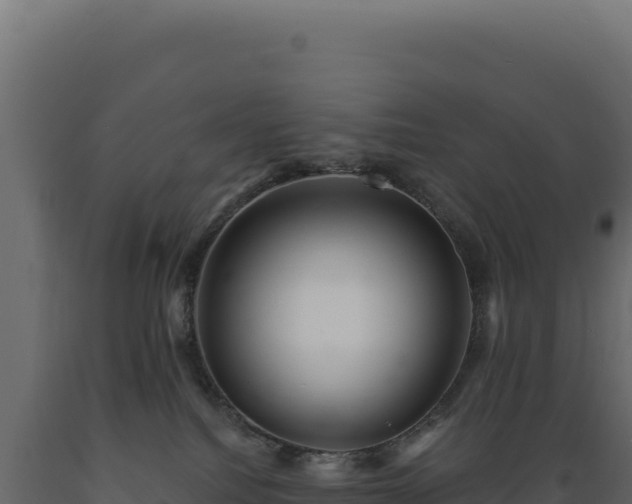 X0000089960088200707061148