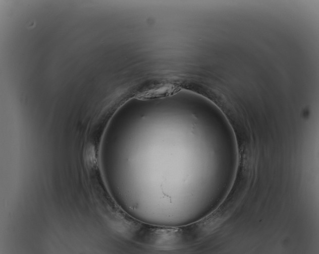 X0000089960089200707061149