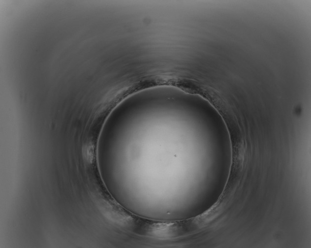 X0000089960090200707061149