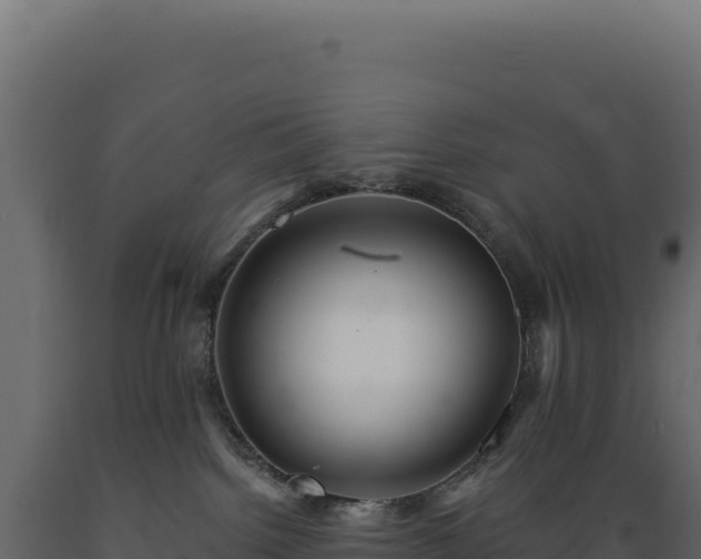 X0000089960092200707061149