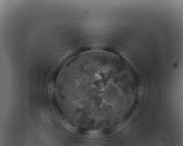 X0000089960093200707061149