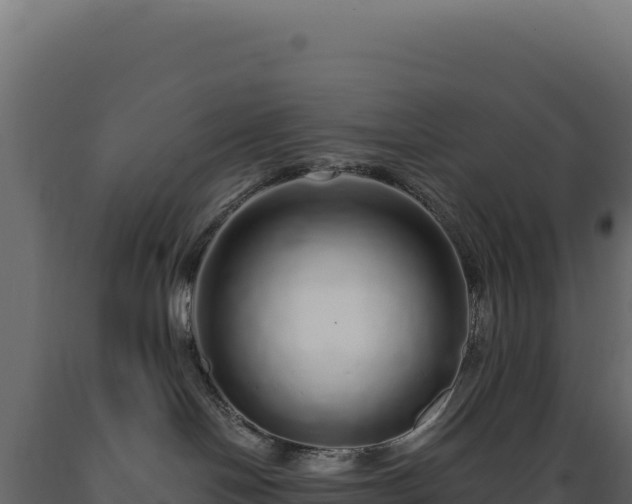 X0000089960094200707061149