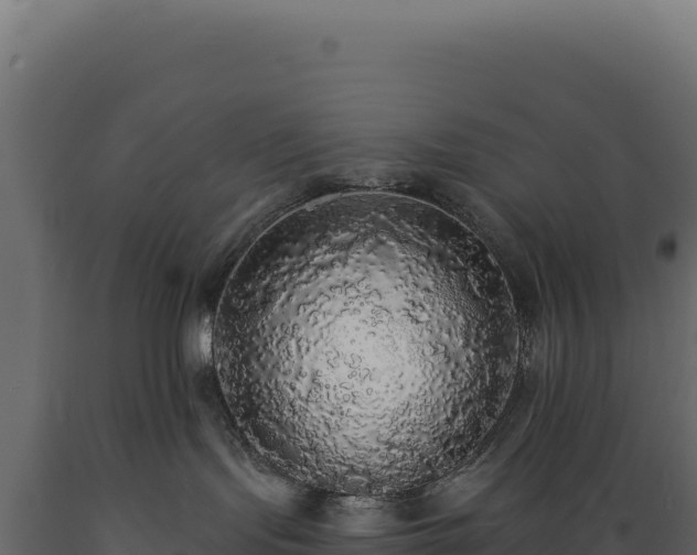 X0000089960095200707061149