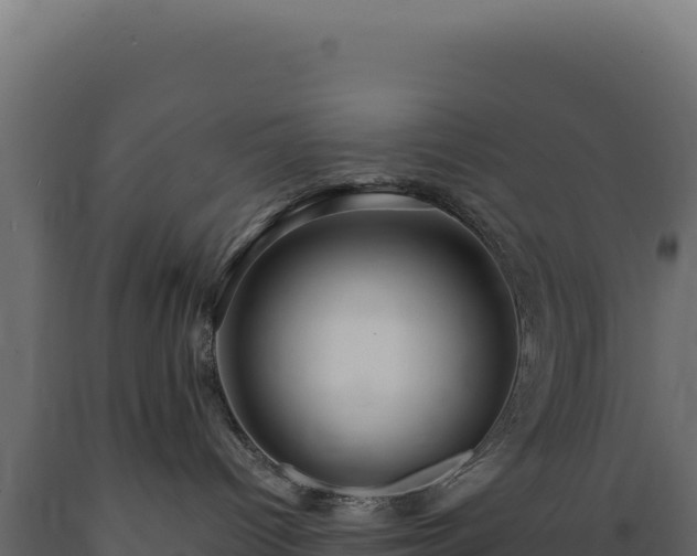 X0000089960096200707061149