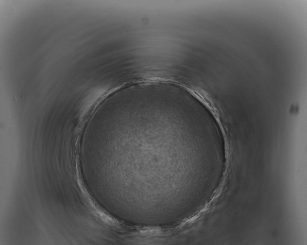 X0000089960097200707061148
