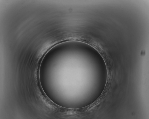 X0000089960098200707061148