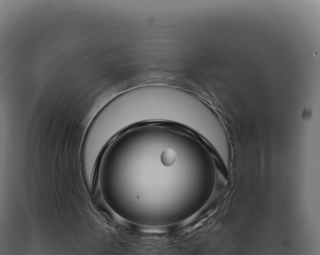 X0000089960099200707061148