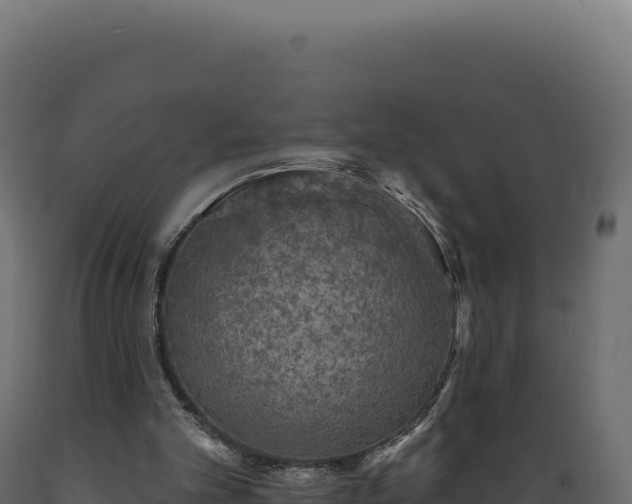 X0000089960101200707061148